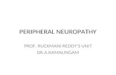 Peripheral Neuropathy - Types