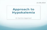 Hypokalemia diagnosis, causes and treatment