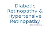 Diabetic and hypertensive retinopathy