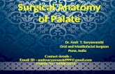 Surgical anatomy of palate. by Dr. Amit T. Suryawanshi,  Oral Surgeon, Pune