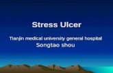 Stress Ulcer(2009)