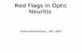 Atypical Optic Neuritis -Red Flags