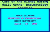 33 ellabban   care of the kidney during daily