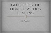 Pathology of fibro osseous lesions