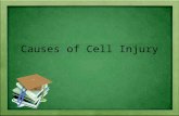 Causes of cell injury