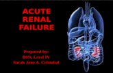 Acute renal failure.