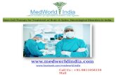 Stem Cell Therapy For Treatment of Brain & Spine in India