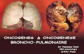 Oncogene & oncogenese