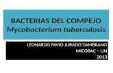 Bacterias del compejo Mycobacterium tuberculosis