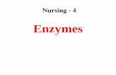 Lec 4 level 3-nu (enzymes)