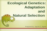 Ecological Genetics: Adaptation and Natural Selection