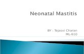Neonatal mastitis 03