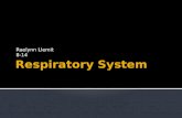 Respiratory system power point raelynn