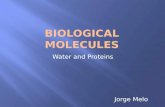 Biological molecules (Water and Proteins) and Transport in plants recap AS Biology [JM]