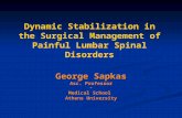 Dynamic Stabilization in the Surgical Management of Painful Lumbar Spinal Disorders