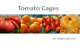Get Fruitful Garden Using Tomato Cages