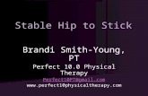 Stable Hip To Stick!