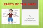 Parts of the body functions