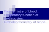 Blood respiratory function & jaundice