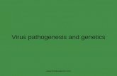 Pathogenesis Virus