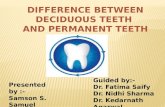 difference between primary and secondary tooth