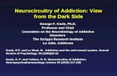 The Neurobiology of Alcoholism: Insights  from the Dark Side of ...