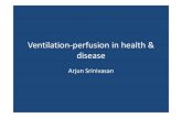 Pneumology - Ventilation perfusion-ratio-and-clinical-importance