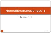 Neurofibromatosis type I