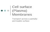 Cell membranes m pr