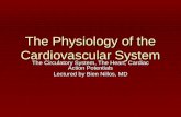 The Physiology Of The Cardiovascular System