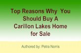 Top Reasons Why You Should Buy A Carillon Lakes Home for Sale