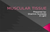 Know about Muscular tissue