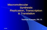 Macromolecular synthesis