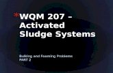 Wqm 207 – bulking and foam   part 2