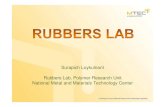 Rubbers Lab