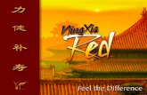 Lit ningxia red-booklet