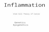 Role of Inflammation, Genetics, Epigenetics, and Stem Cells in Tumorigenesis