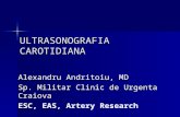 Ultrasonografia carotidiana