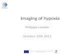 Clinical Imaging Hypoxia