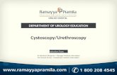 Cystoscopy /uretroscopy
