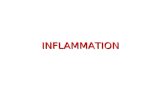 2  acute inflammation