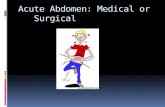 The acute abdomen seminar