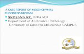 Case Report   Mesenchymal Chondrosarcoma