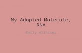My Adopted Molecule, Rna