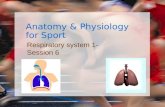 Body in sport session 5,6,7
