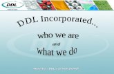 Ddl Overview 2009