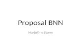 Ppp Proposal Bnn