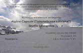 Культурологическая экспертиза Alpine Capsule ("альпийская капсула")  Studio Lovegrove Исупова Екатерина ФО 300401