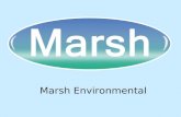 Introduction to Marsh Environmental