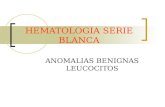 Hematologia Serie Blanca